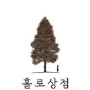 홀로상점