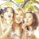 사랑만들기 이미지
