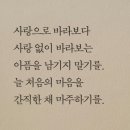 새싹존크린센터 이미지
