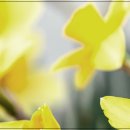 아이마음정신건강의학과의원 이미지