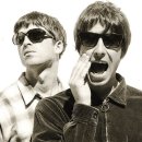 오아시스 이미지