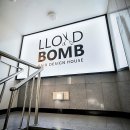 댕댕이묭실 | 머리털 나고 이 묭실 찾아 헤맸다!