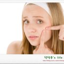 만성가든 네이버블로그