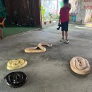 둘만농장 | [보홀 3박5일 내돈내산 자유여행] 로컬페이지 보홀육상투어 솔직후기