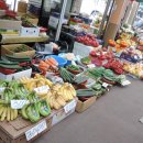 원고개시장 이미지