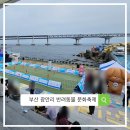 수변공원(2)아래수변공원 | 부산 광안리 2025 민락수변공원 반려동물 문화축제 방문 후기