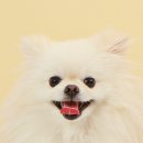 라라스튜디오 이미지