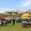 연합전단 | 도심 속 축제, 2026 부산예총 갈매랑 축제 후기