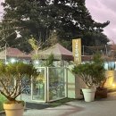 세원 꼼장어 | 7월 : 먼지 없는 파란 하늘 위로