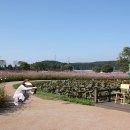 황룡강변 이미지