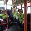 도대교회 이미지