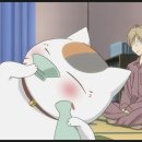 냥코센세 이미지