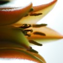 금환농원 이미지