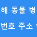 중앙가축병원 이미지