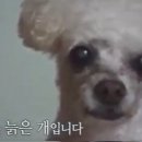 궁전사우나 이미지