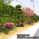 제물포여자중학교 이미지