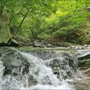 뒷골2로 이미지