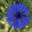 태신목장 이미지