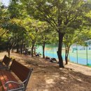 옻골다목적구장 이미지