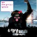을동이네사진관 이미지