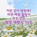 평창 가볼만한곳 13곳: 평창에서만 만날 수 있는 특별한 순간들! 사계절 내내 설레는 평창 여행지