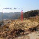 원정농장 이미지