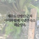 화순양옥 | 제주도 산방산 근처 서귀포시 아이와 함께 지냈던 숙소 화순양옥 후기