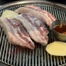 제주탐몽