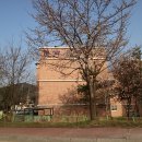 문막초 취병분교장 이미지