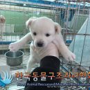 신천로 이미지