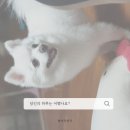 뽀솜이 이미지