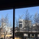 더블S디테일링 동해점 | [여행] 가장 이상적인 호캉스, 강릉 신라 모노그램 호텔 프리미어 디럭스 더블 오션뷰 후기