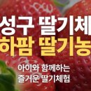 상석 농장 이미지
