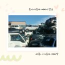 세종 자동차 이미지