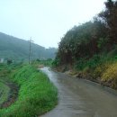 섬에온이유민박 이미지