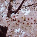 와동 면허시험장 | 운전면허 1종 보통 갱신 후기 | 여권사진 때문에 두 번 방문한 이야기