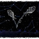 물고기자리 이미지