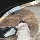 신용농원 이미지