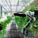 광선농장 이미지