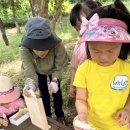 🌳친절반과 공감 어린이집 숲 체험🌳 이미지