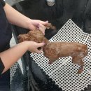 미용해·독 이미지