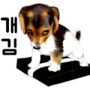올컴시스템