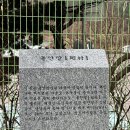 돌안말운동장