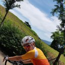 정모 카카오 검색결과