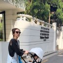 부촌 스포츠조선