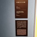 애니카랜드 연구단지점 | 오사카 전시 추천 기누타니 고지 천공 미술관 탁 트인 통창을 가진 전망 좋은 카페