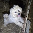 유성동양경매장 이미지