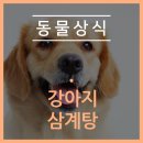 덕정 동물의료센터 이미지