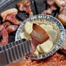 진갈매기 이미지