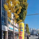 케이스크린골프